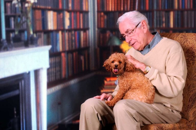 geriatrica-mascotas-perro-veterinario