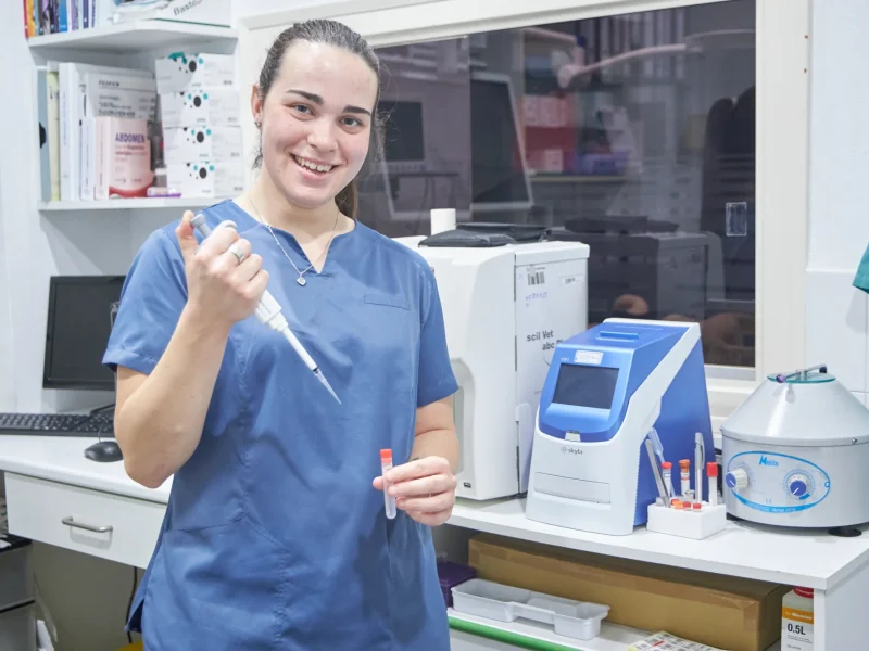 Animalons-Clinica-Veterinaria-Amposta-29