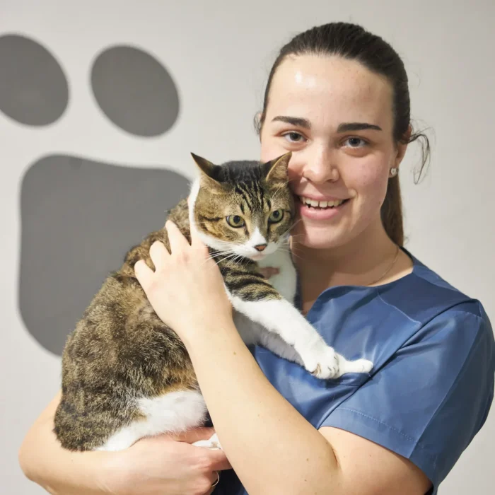 Animalons-Clinica-Veterinaria-Amposta-3