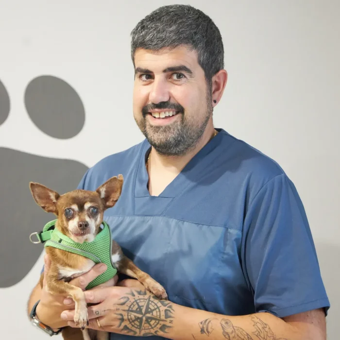 Animalons-Clinica-Veterinaria-Amposta-39