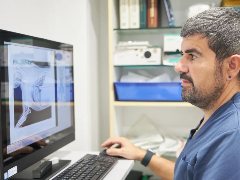 Animalons-Clinica-Veterinaria-Amposta-4