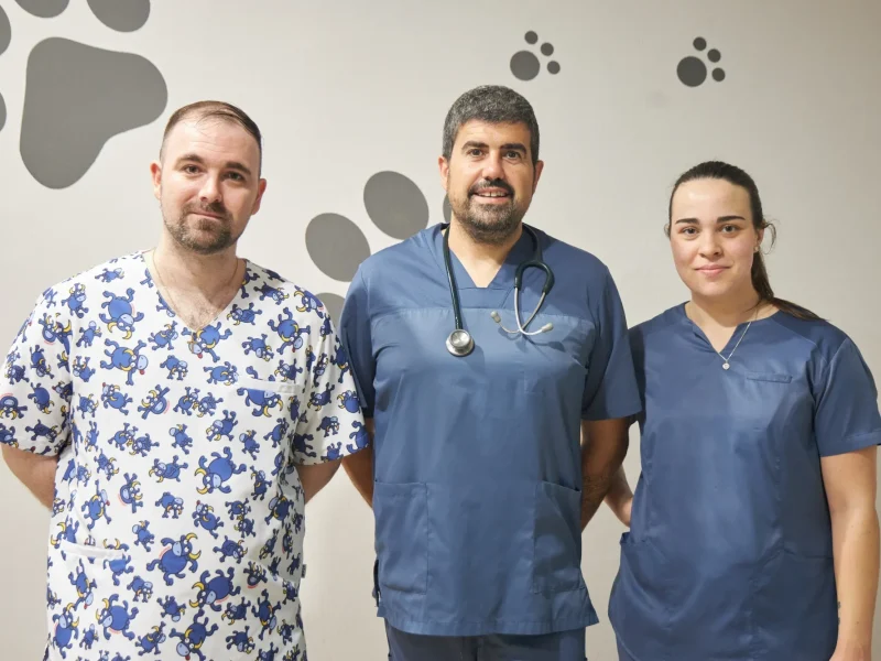 Animalons-Clinica-Veterinaria-Amposta-66
