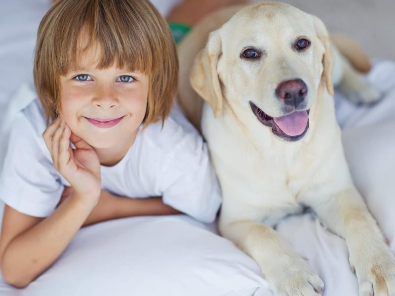 pla-salud-gos-cadell