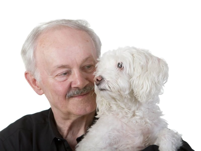 pla-salud-gos-senior