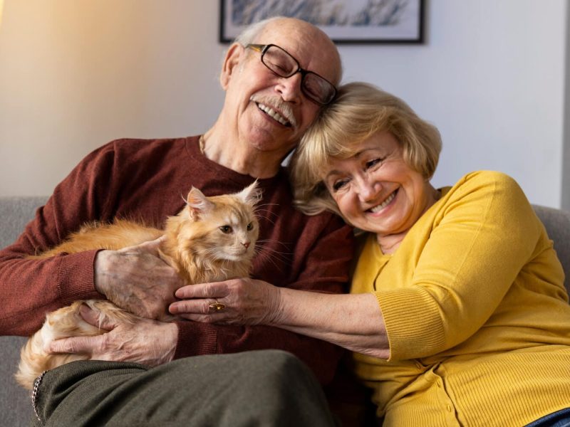 pla-salut-gat-senior